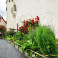 Marksburg castle